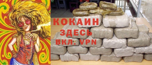стаф Медногорск
