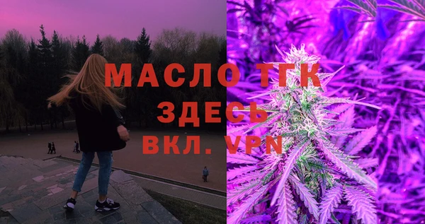 стаф Медногорск