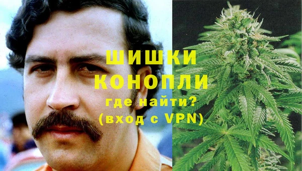 стаф Медногорск